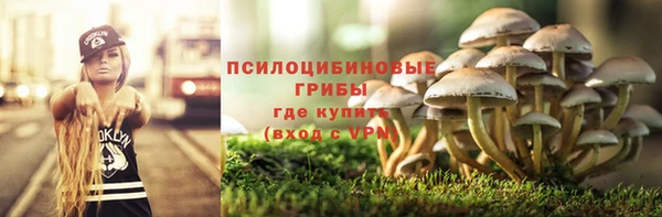 тгк Богородск