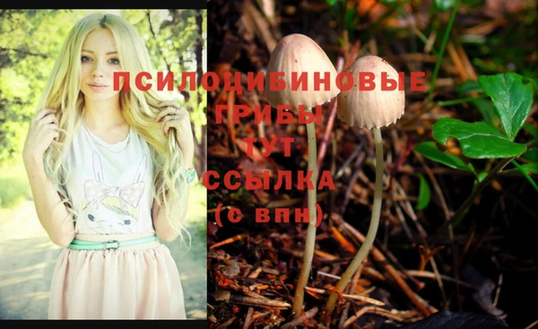 мескалин Богородицк