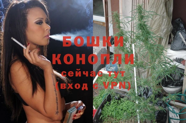 мескалин Богородицк